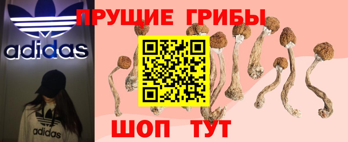 Псилоцибиновые грибы мицелий Уварово