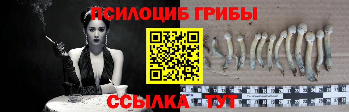 Уварово  Псилоцибиновые грибы мухоморы  Вход с VPN 